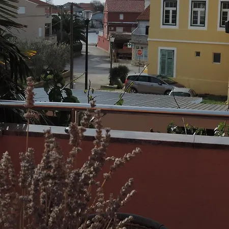 Tina Bibinje
